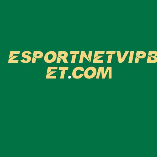 Logo da ESPORTNETVIPBET